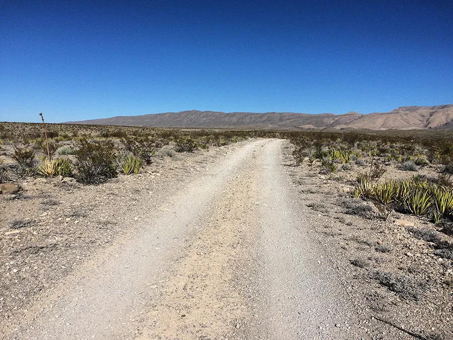 Big Bend Trails Single Origin Small Lot Coffee