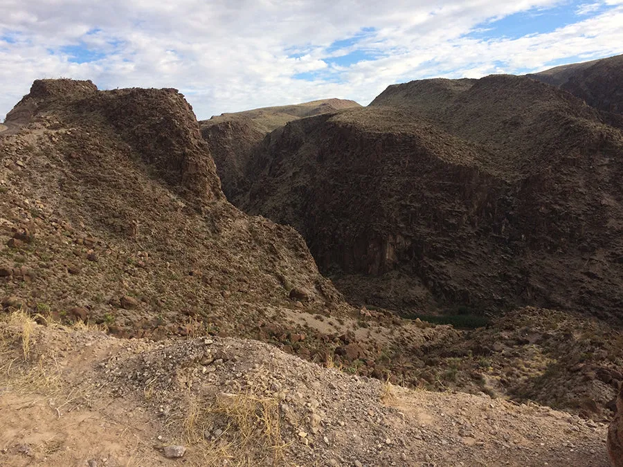 Big Bend Trails Single Origin Small Lot Coffee