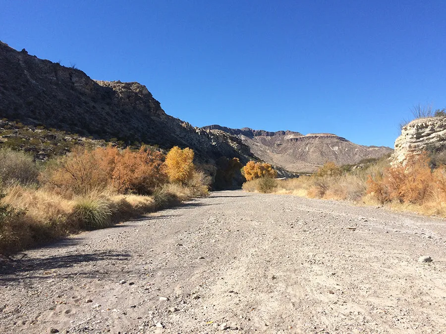 Big Bend Trails Single Origin Small Lot Coffee