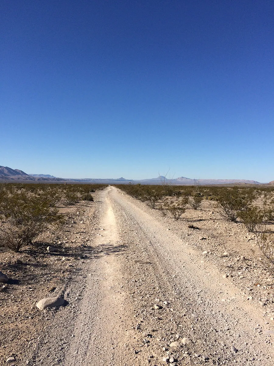 Big Bend Trails Single Origin Small Lot Coffee