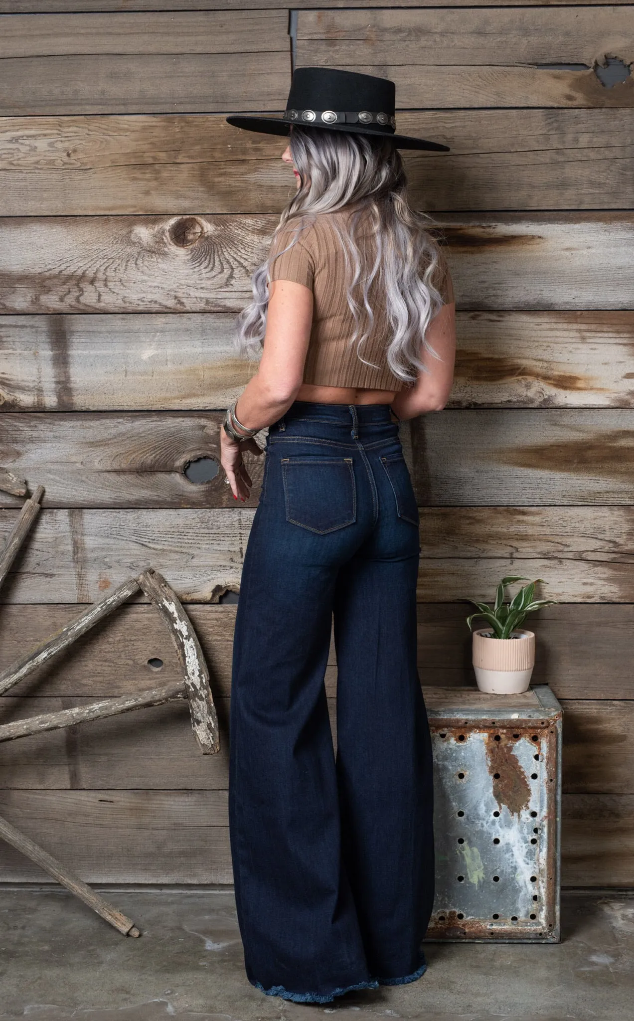 Darcie Wide Leg Flare Denim