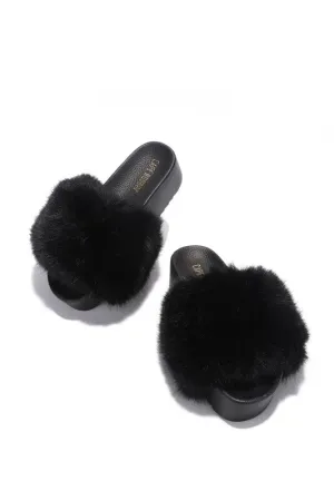 Furry Slides