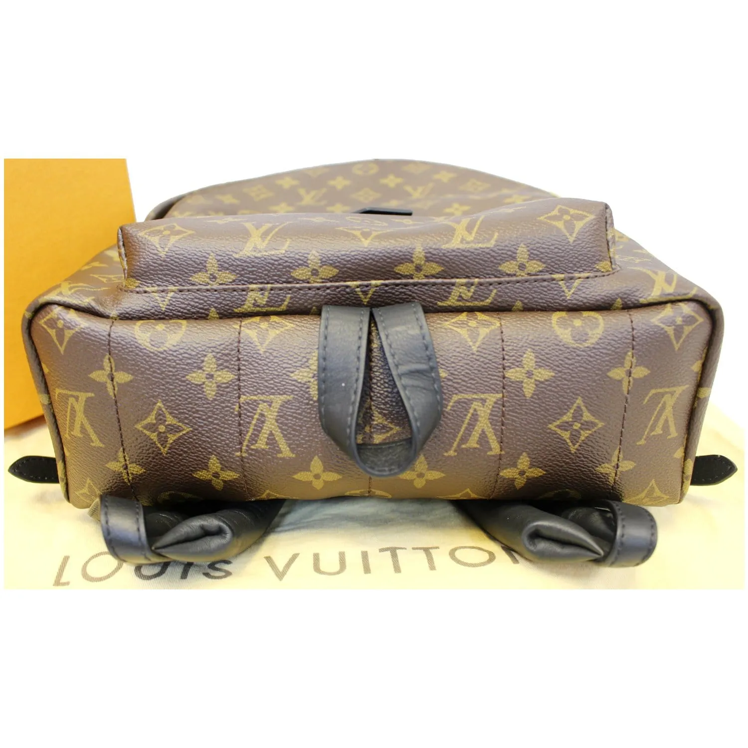LOUIS VUITTON Palm Springs MM Monogram Canvas Backpack Bag