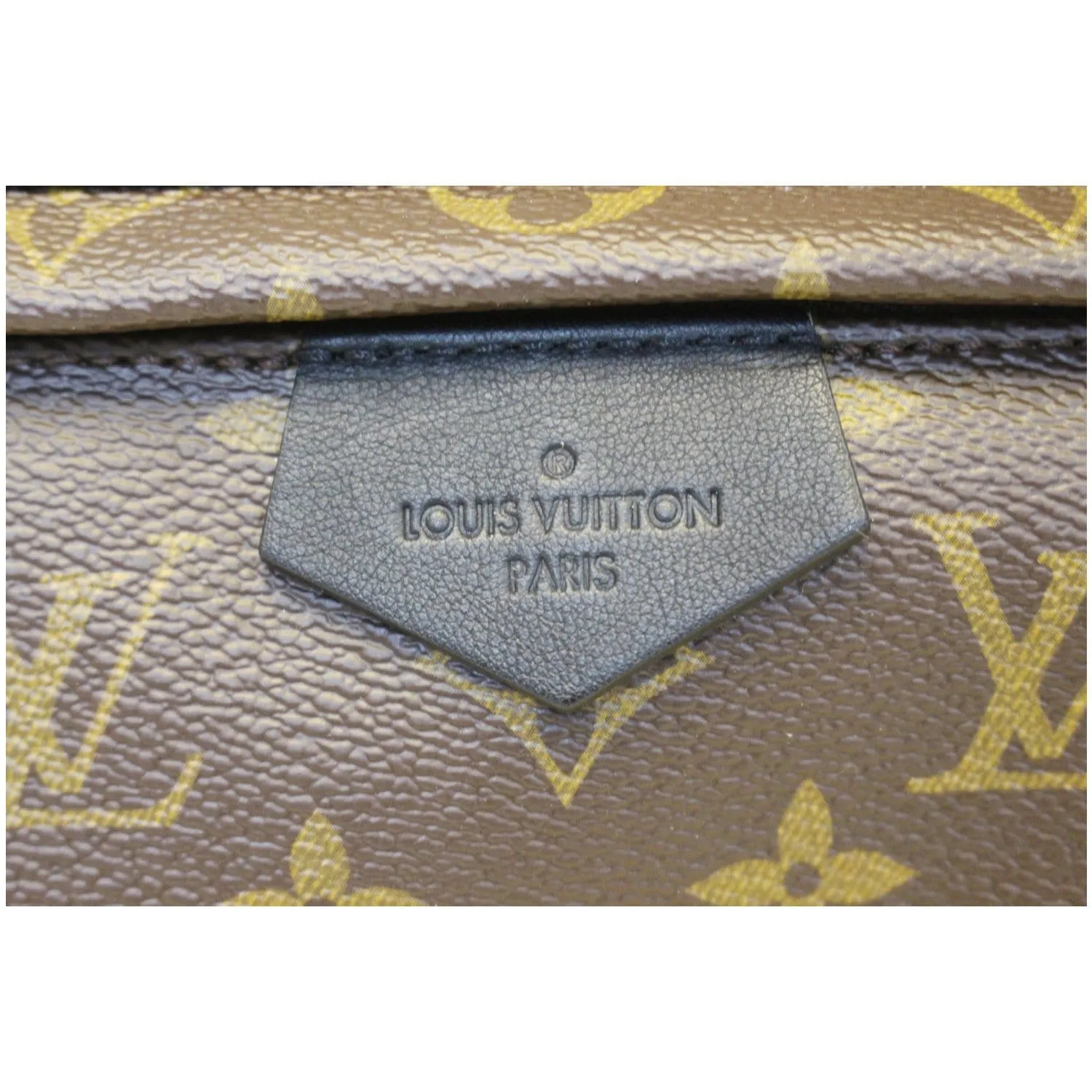 LOUIS VUITTON Palm Springs MM Monogram Canvas Backpack Bag