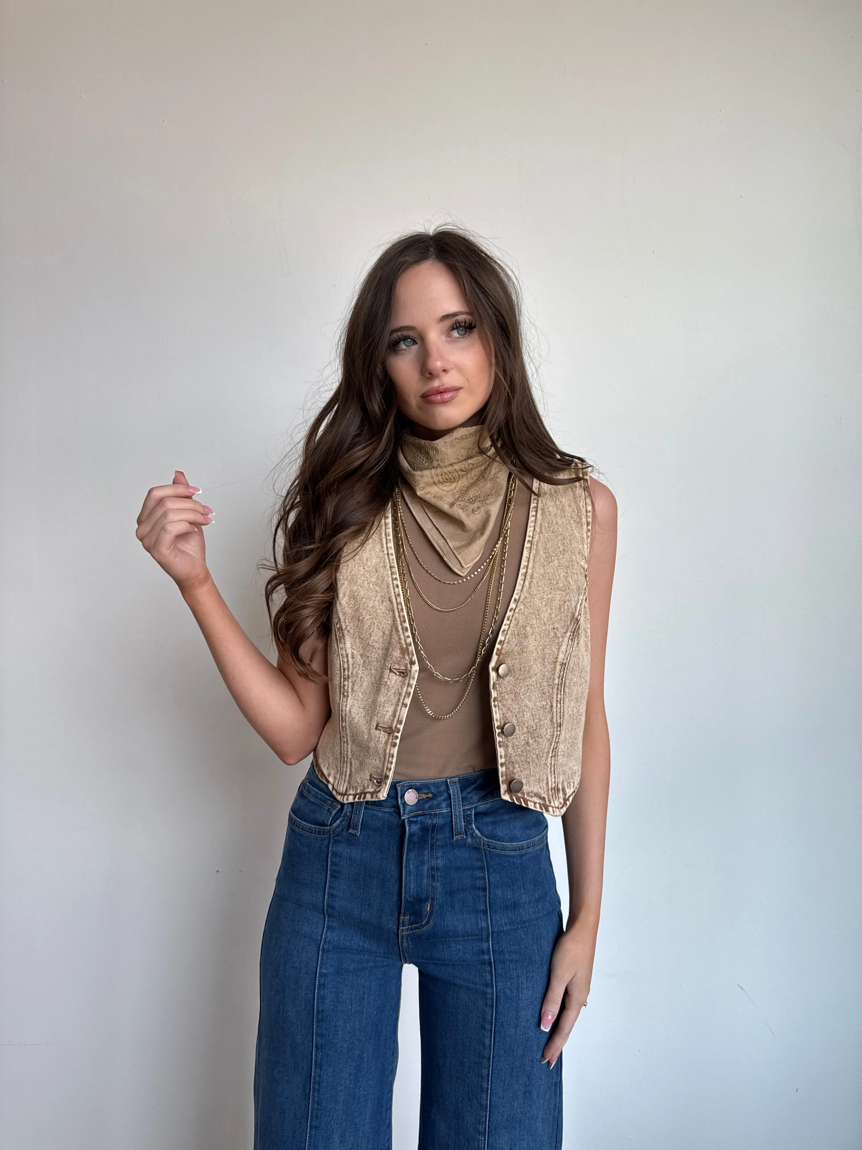 Vintage Taupe Vest